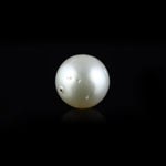 Pearl - 15.55 Carat