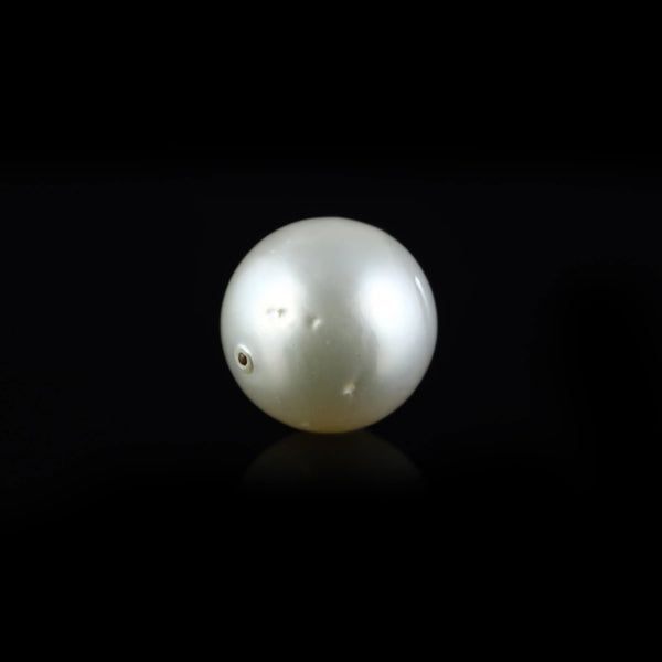 Pearl - 15.55 Carat