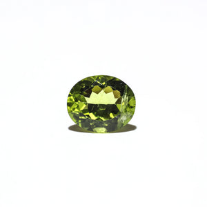 Peridot - 4.9 Carat - Pramogh