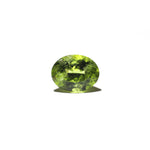 Peridot - 6.7 Carat - Pramogh