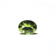 Peridot - 4.5 Carat - Pramogh