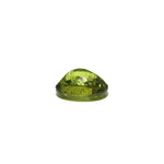 Peridot - 5.4 Carat