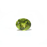 Peridot - 9.3 Carat - Pramogh