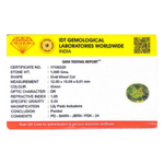 Peridot - 5.45 Carat
