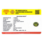 Peridot - 5.6 Carat