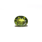 Peridot - 6.32 Carat - Pramogh