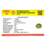 Peridot - 6.87 Carat