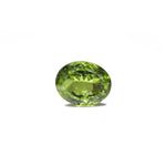 Peridot - 12.5 Carat - Pramogh