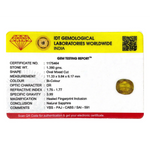 Bi-Color Sapphire (Pitambari) - 6.95 Carat - Pramogh