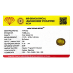 Bi-Color Sapphire (Pitambari) - 5.4 Carat - Pramogh
