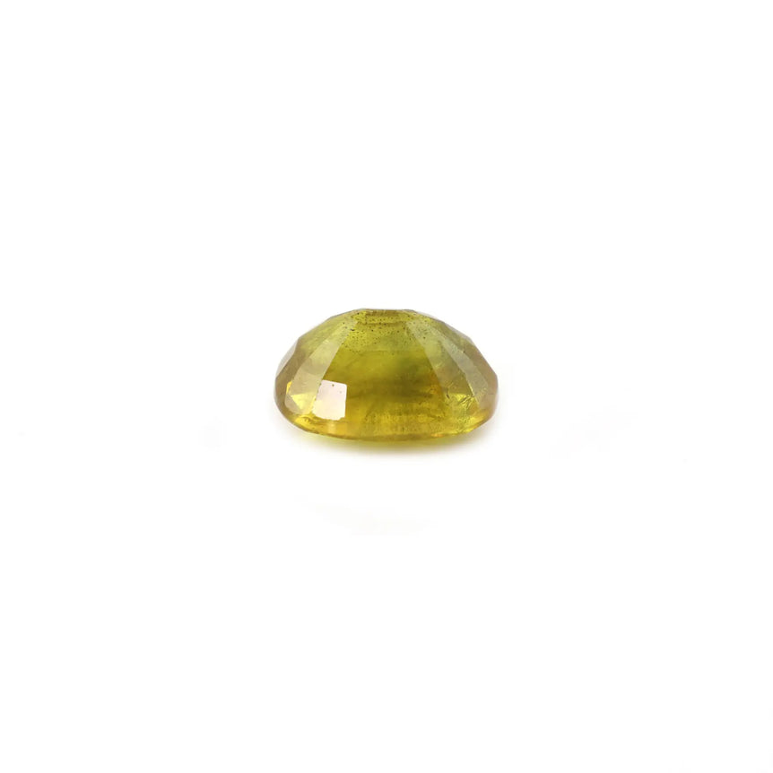 Bi-Color Sapphire (Pitambari) - 6.8 Carat - Pramogh