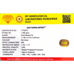 Bi-Color Sapphire (Pitambari) - 6.8 Carat - Pramogh