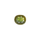 Bi-Color Sapphire (Pitambari) - 6.4 Carat - Pramogh