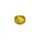 Bi-Color Sapphire (Pitambari) - 6.6 Carat - Pramogh