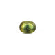 Bi-Color Sapphire (Pitambari) - 7.1 Carat - Pramogh