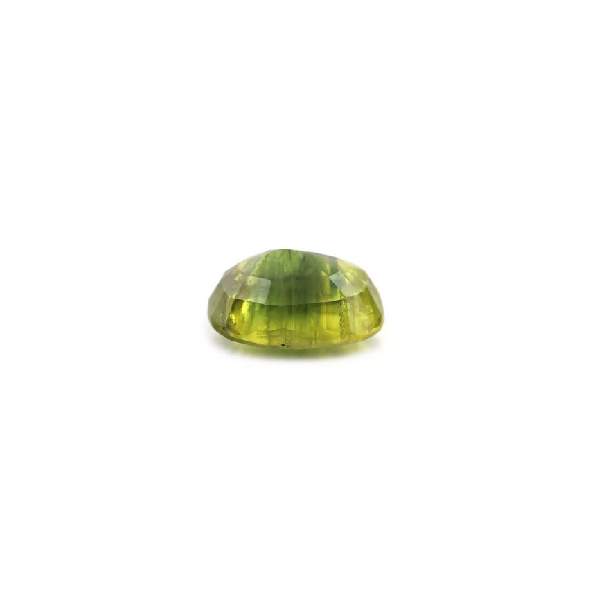 Bi-Color Sapphire (Pitambari) - 7.8 Carat - Pramogh
