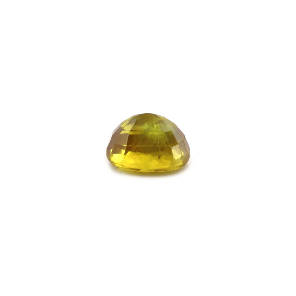 Bi-Color Sapphire (Pitambari) - 4.58 Carat