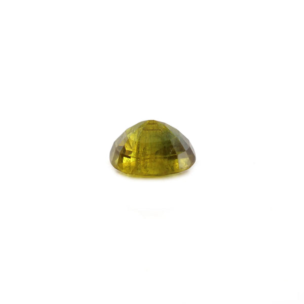 Bi-Color Sapphire (Pitambari) - 6 Carat