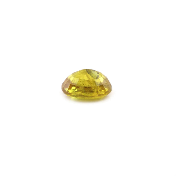 Bi-Color Sapphire (Pitambari) - 4.8 Carat