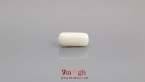 White Coral - 5.4 Carat