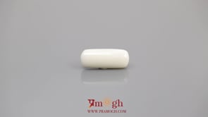 White Coral - 6.61 Carat