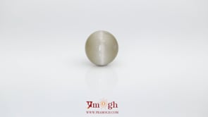 Catseye - 6.71 Carat