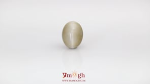 Catseye - 6.1 Carat