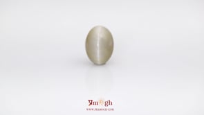 Catseye - 6.47 Carat
