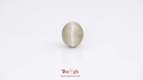 Catseye - 7.09 Carat