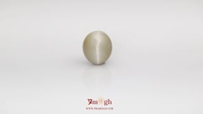 Catseye - 6.1 Carat