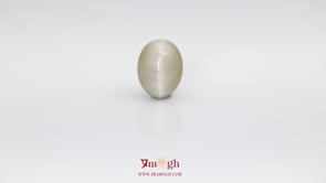 Catseye - 6.4 Carat