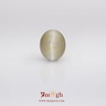 Catseye - 6.31 Carat