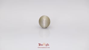 Catseye - 5.62 Carat