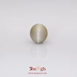 Catseye - 5.62 Carat