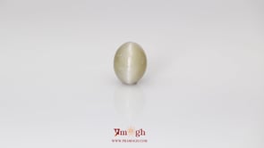 Catseye - 5.85 Carat