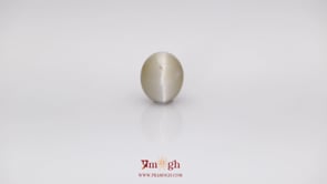 Catseye - 6.34 Carat