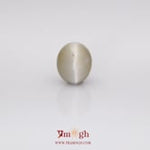 Catseye - 6.34 Carat