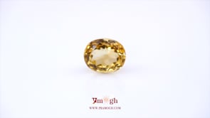 Citrine - 6.9 Carat