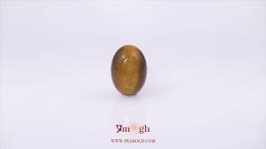 Tiger Eye - 6.1 Carat