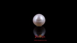 Pearl - 4.8 Carat