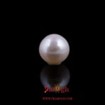 Pearl - 4.8 Carat