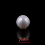 Pearl - 5.44 Carat