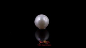 Pearl - 5.18 Carat