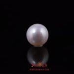 Pearl - 5.46 Carat