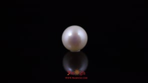 Pearl - 4.81 Carat