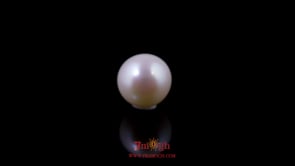 Pearl - 4.83 Carat