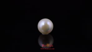 Pearl - 5.21 Carat