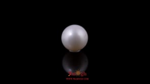 Pearl - 5.57 Carat