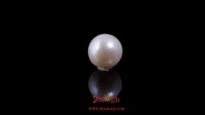 Pearl - 6.14 Carat