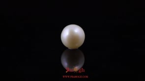 Pearl - 6.16 Carat